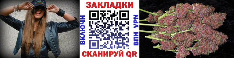 Купить закладку Зеленогорск APVP  Мефедрон  Гашиш  Бошки Шишки  Cocaine 