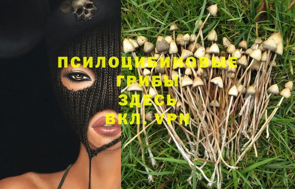 тгк Армянск