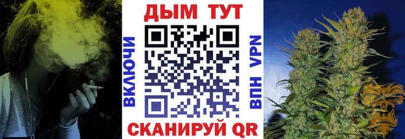 Бошки марихуана сатива  как найти закладки  Зеленогорск 